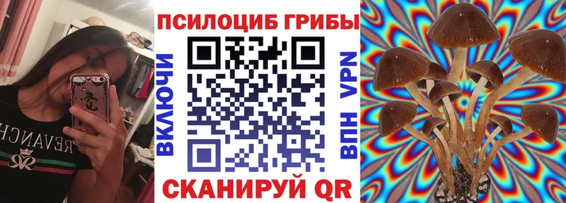 Галлюциногенные грибы Psilocybine cubensis  Купить  Дмитровск 